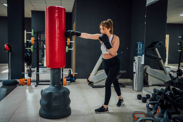 Best Free-Standing Punching Bags