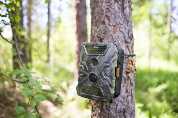 Best WiFi Trail Cameras For Hunting