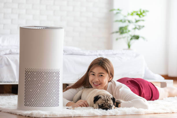 Best Air Purifiers For Pet Allergies And Asthma